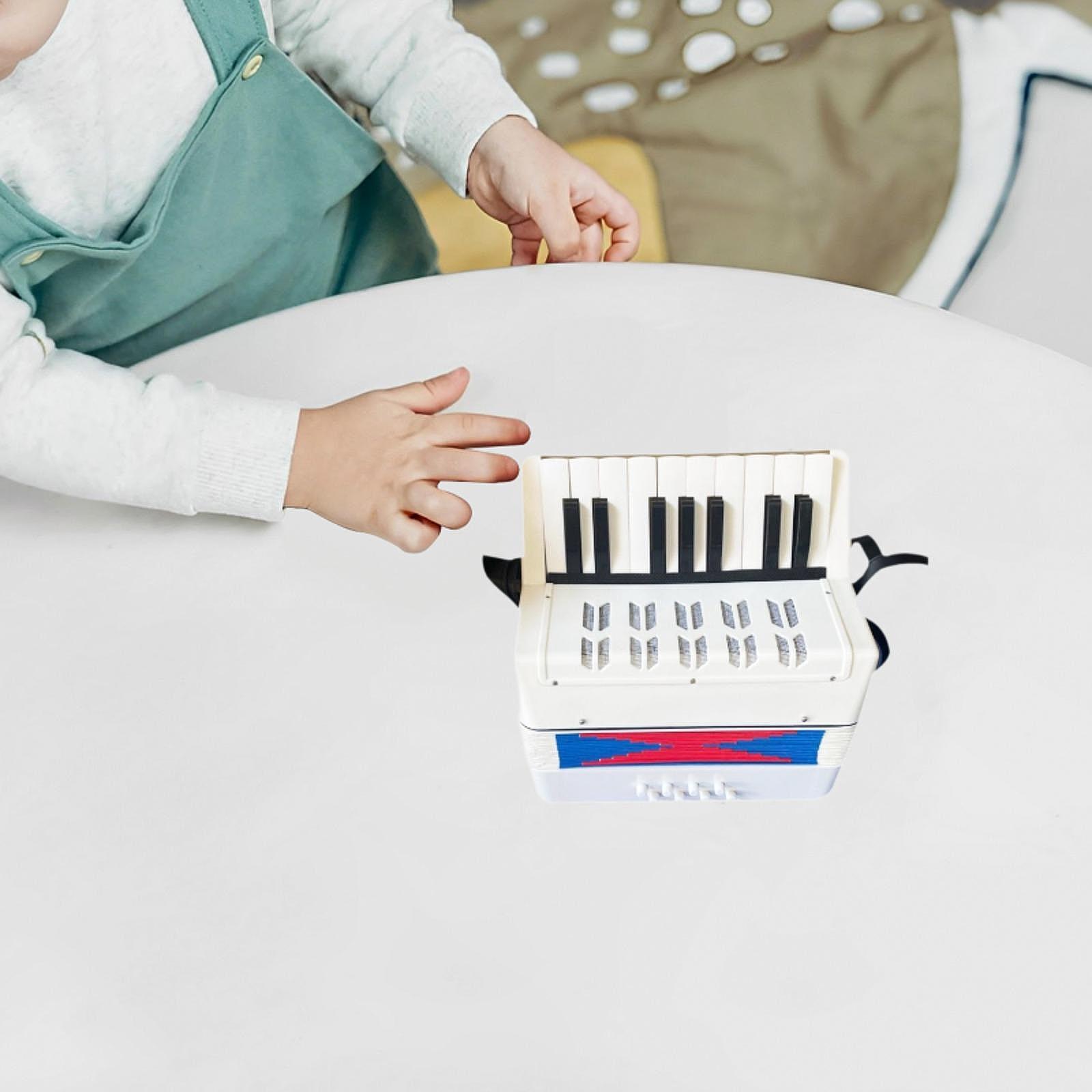 Beginner Piano Accordion 17 Ke - огляд і ціна Kids Toys Start With X