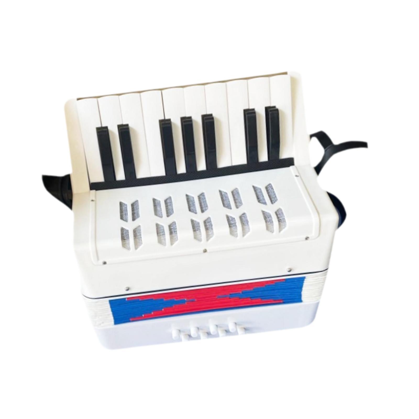 Beginner Piano Accordion 17 Ke - огляд і ціна Kids Toys Start With X