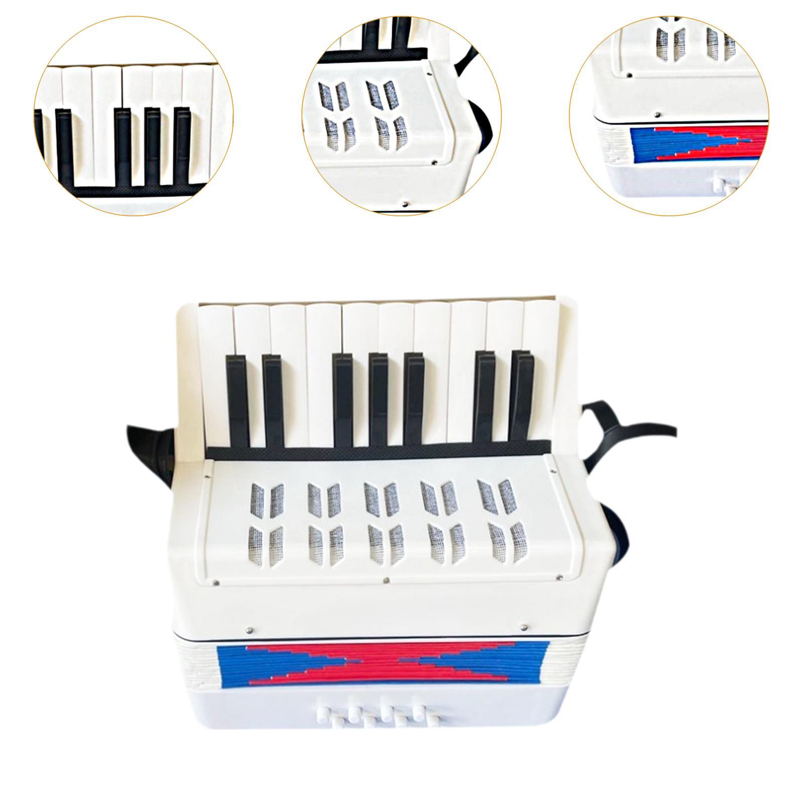 Beginner Piano Accordion 17 Ke - огляд і ціна Kids Toys Start With X