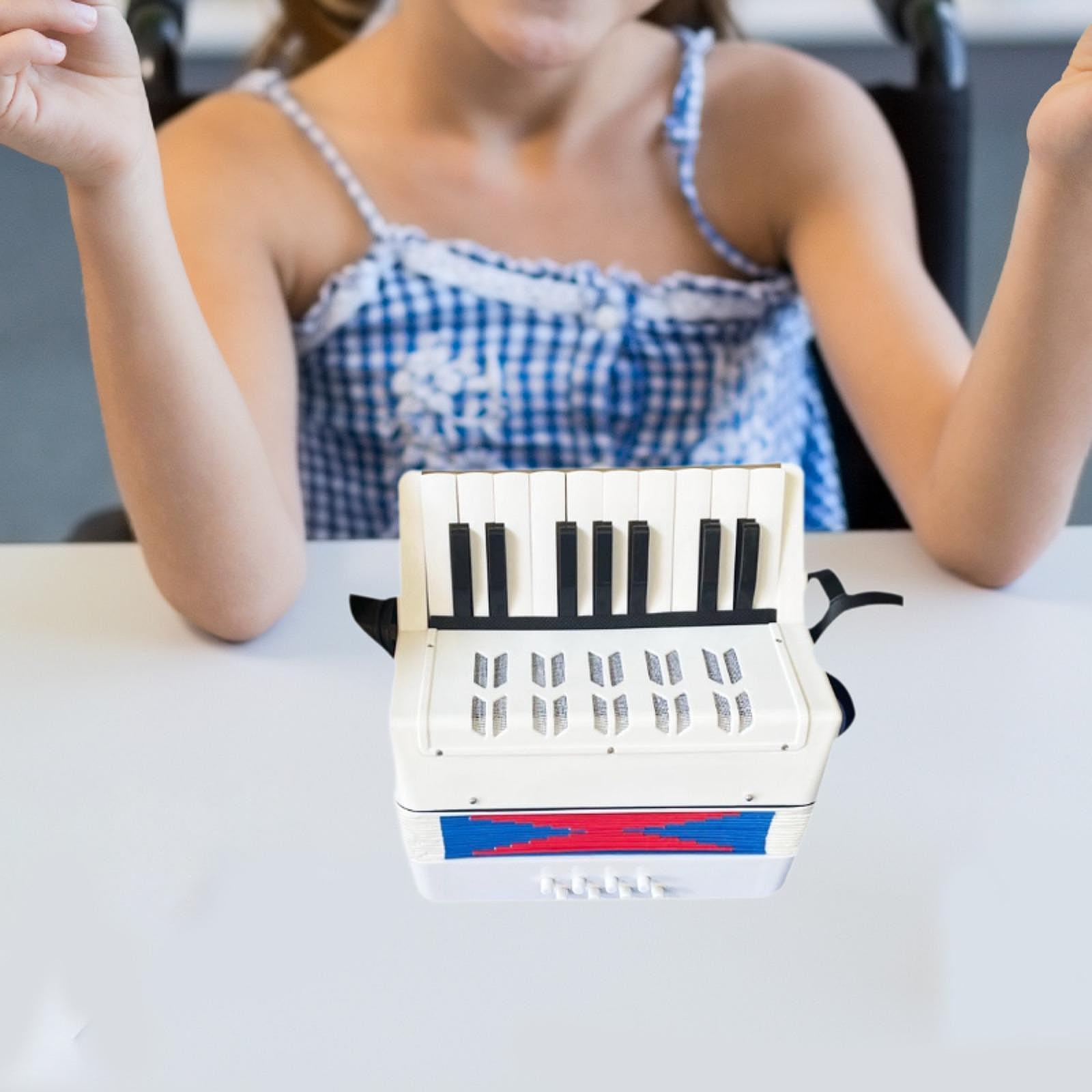 Beginner Piano Accordion 17 Ke - огляд і ціна Kids Toys Start With X